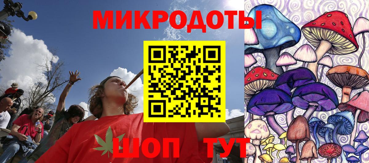 Галлюциногенные грибы Psilocybine cubensis  Вход с VPN  Псилоцибиновые грибы Psilocybe  Ефремов 