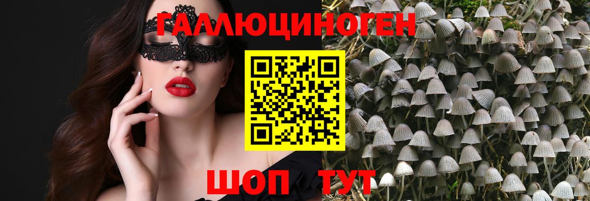 Галлюциногенные грибы GOLDEN TEACHER Ефремов